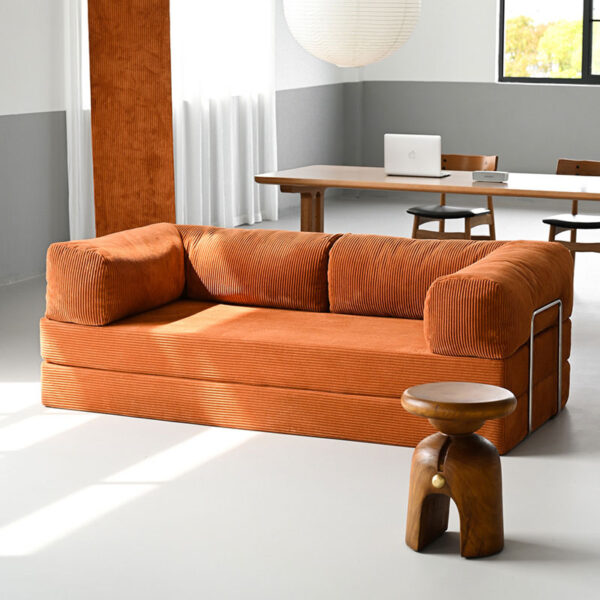 Large King Living Room Sofa Bed | Compressed Sofa